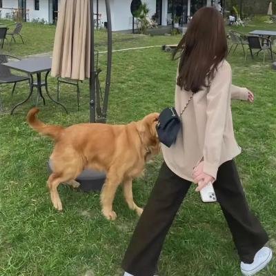 爱·子